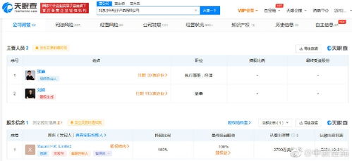 雷军卸任小米电子产品公司董事长 对计算机软件开发业务的影响