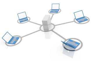 局域网与互联网 计算机软件开发中的双重视角